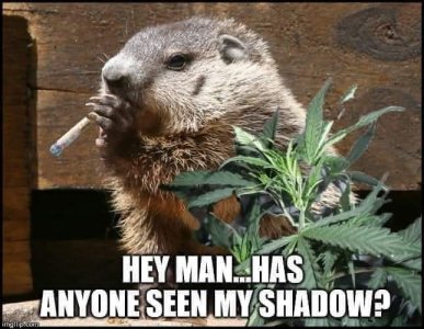 ghshadow.jpg
