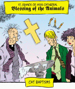 cat baptism.gif