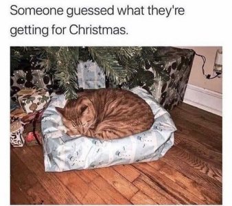 guessedgift.jpg