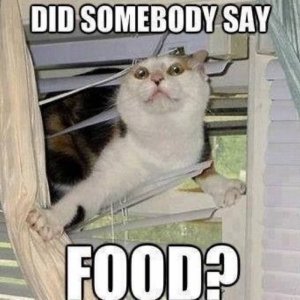 Funny-Food-Meme-Image-Photo-Joke-10.jpg