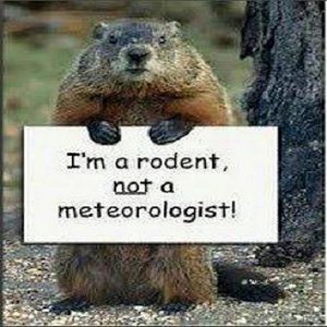 3f9cfa96607ea0fd82248ee9d5eed68e--ground-hog-rodents.jpg