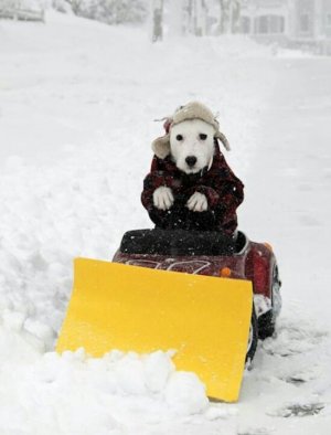 plow0.jpg