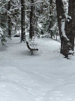 IMG_7473.jpeg