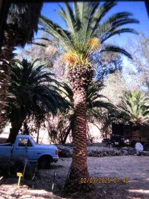 IMG_7473.JPG