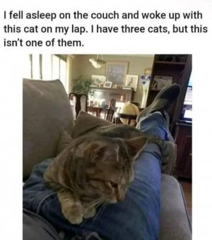 FB_IMG_1724038542988.jpg