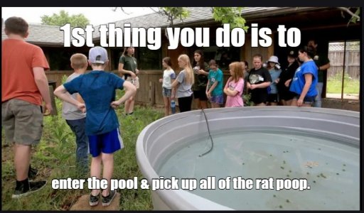 pool.jpg