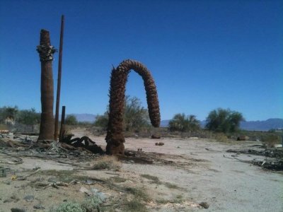 IMG_0376.jpeg