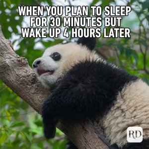 13_When-you-plan-to-sleep-FINAL.jpg