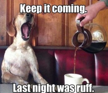 funny-coffee-humor-52-720x625.jpg