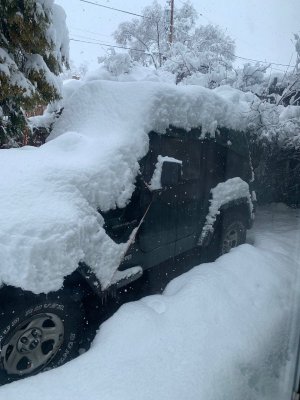 thumbnail_IMG_6555.jpg