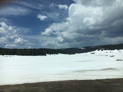 IMG_0093.jpeg