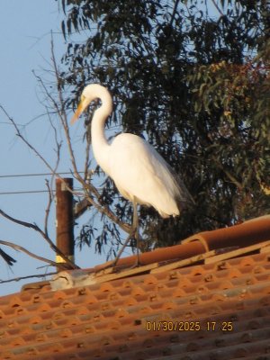 IMG_7454.JPG