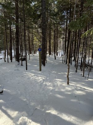 IMG_7482.jpeg