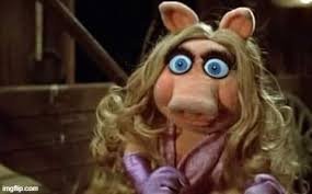 Miss Piggy shocked - Imgflip Miss Piggy shocked - Imgflip