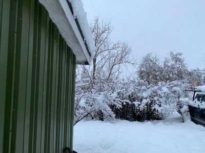 thumbnail_IMG_6564.jpg