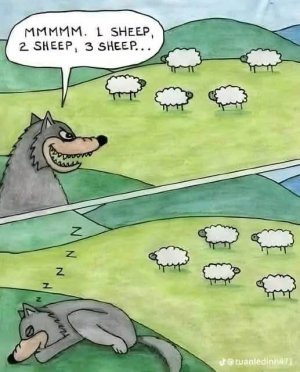 FB_IMG_1738757126213.jpg