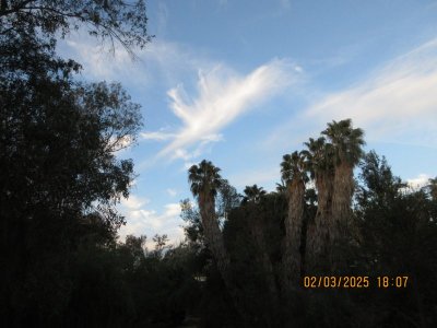 IMG_7495.JPG