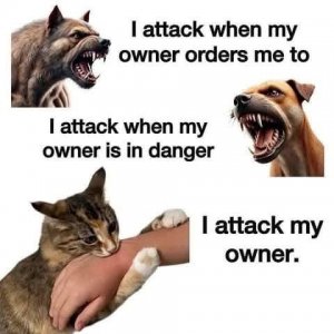 FB_IMG_1738767681965.jpg