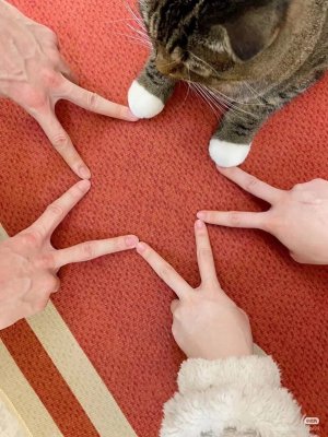 1000009130.jpg