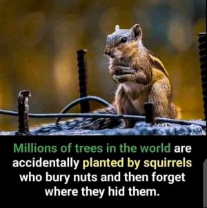 FB_IMG_1738786944360.jpg