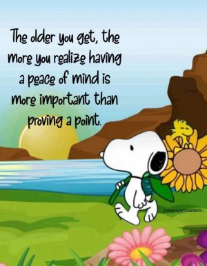 FB_IMG_1713765626523.jpg