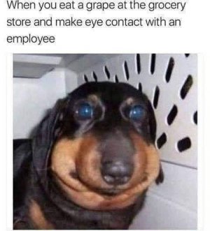 FB_IMG_1738786886368.jpg