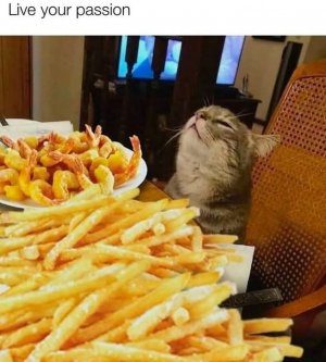1000009107.jpg