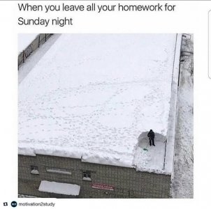 1000009027.jpg