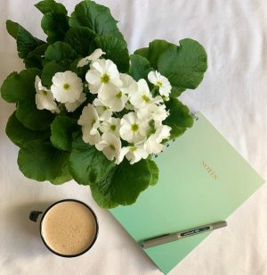 free-photo-of-top-view-of-white-blooming-plant-with-coffee-and-notebook.jpeg