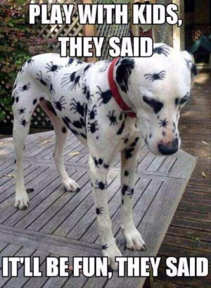 ad4f97b6401833f8fa29e8aca6a55bbc--funny-animal-pictures-funniest-pictures (1).jpg
