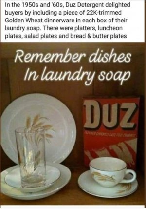 IMG_0363.jpeg