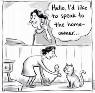 FB_IMG_1738767206029.jpg