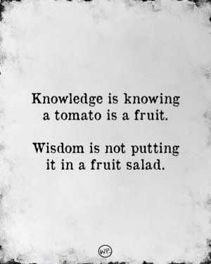 FB_IMG_1738383508172.jpg