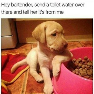 1000009190.jpg