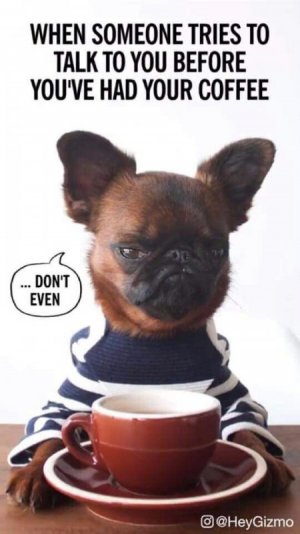 coffee2.jpg