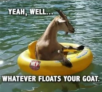 FB_IMG_1739040343061.jpg