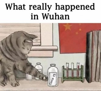 0.jpg