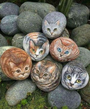 cattitude stones.jpg