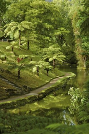 green tropical.jpg