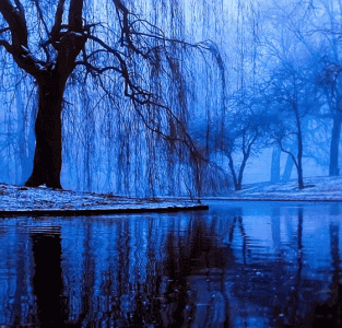 tumblr_b11d2d08b3c2b78759cb70388395029e_ca801500_640.gif.gif