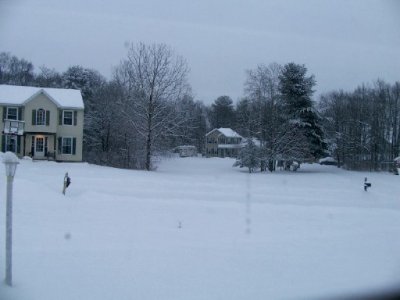 Feb 9 25 snow2.jpg