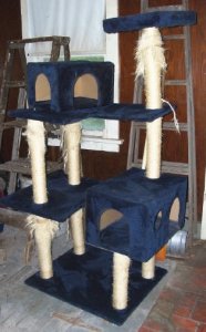 cat tree.jpg cat tree.jpg