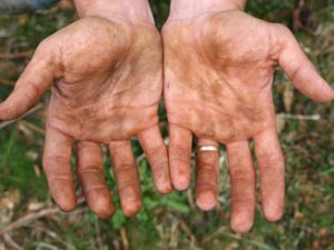 hands.jpg