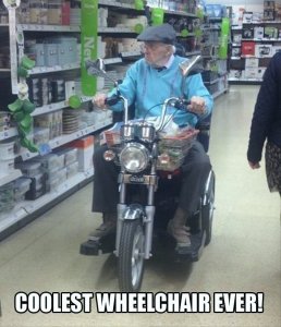 22394519ae8ec8487f765184537b1c81--harley-davidson-funny-things.jpg
