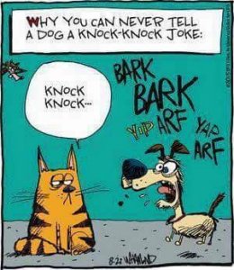 dog knock knock.jpg