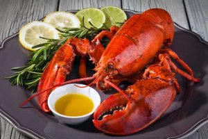 lobster.jpg