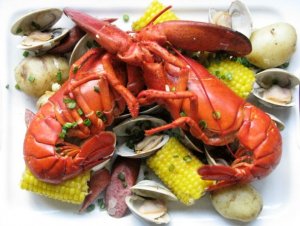 lobster.jpg