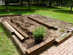 photo for seniors (800x600).jpg