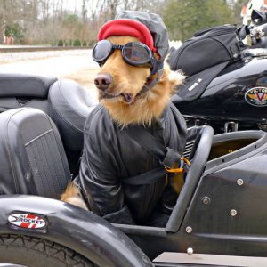 sidecar.jpg