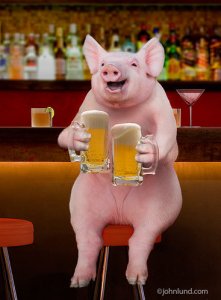 Pig-Drinking-Beer-Lund.jpg